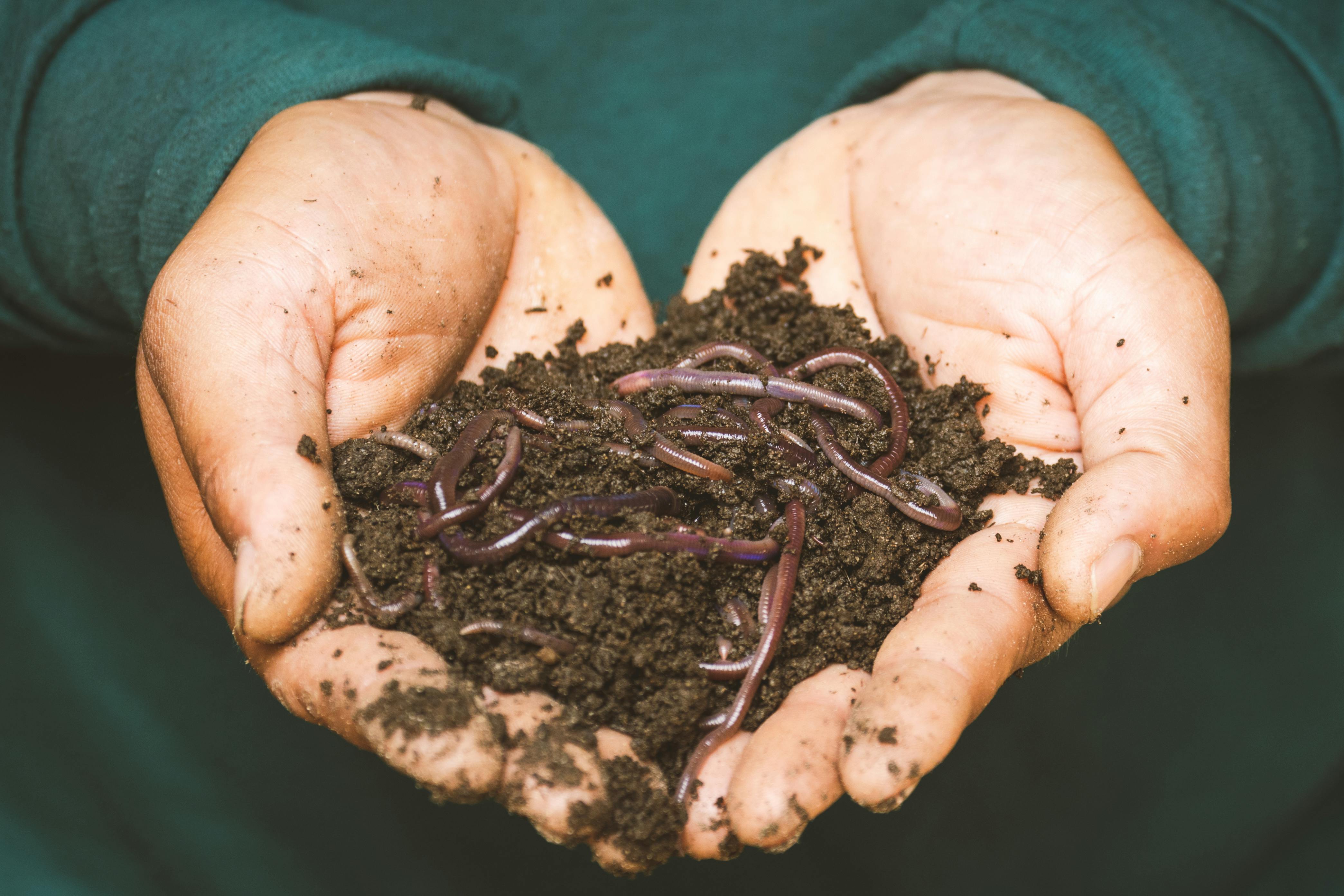 Fertilizers
